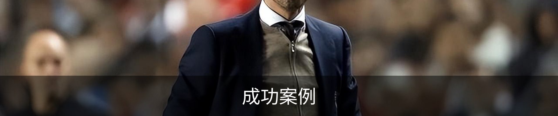 成功案例